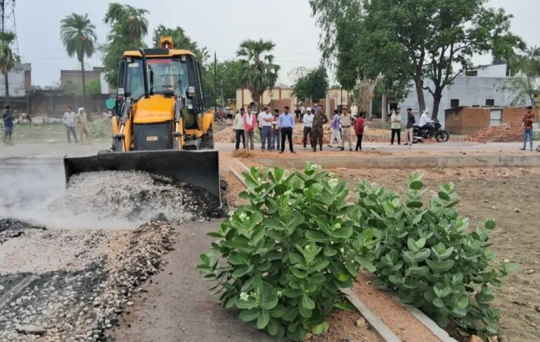 Deity’s Land Falls Prey To Priests’ Greed, Sold After 79 Years, Collector Declares Sale Illegal